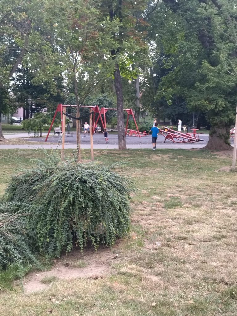 HEROJ DANA: ČOVEK IZ ZEMUNA SPASIO TRUDNICU I DVOJE MALE DECE!